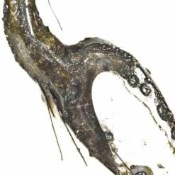 metalart reiger, reiger, beeld reiger