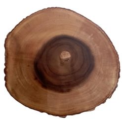 onderzetter boomschijf