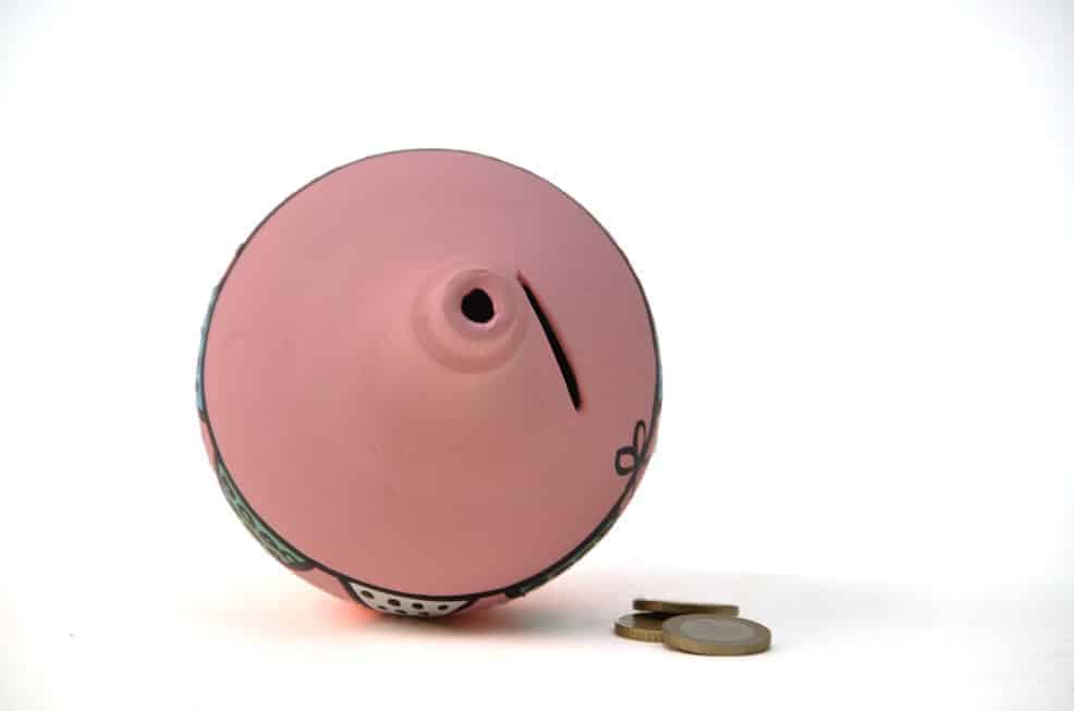 SPAARPOT AARDEWERK roze vlag - Afbeelding 2