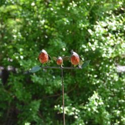 tuinsteker roodborstjes