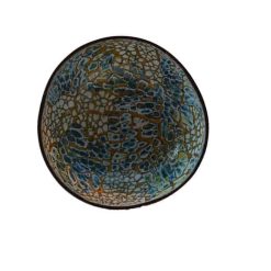 KOKOSNOOT KOM BLAUW GOUD