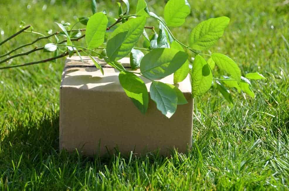 wat is greenwashing?