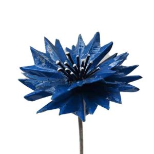 tuinsteker korenbloem blauwe bloem
