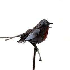 tuinsteker roodborstjes