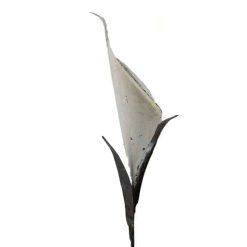 tuinsteker witte lelie