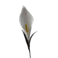 tuinsteker witte lelie