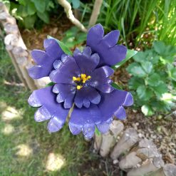 tuinsteker paarse bloem