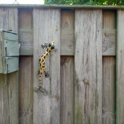 metalen schuttingdier, metalen gekko, gekko wanddecoratie