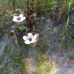 huwelijksgeschenk metalen bloem, duurzaam huwelijkscadeau, metalen bloem tuinsteker, witte bloem tuinsteker