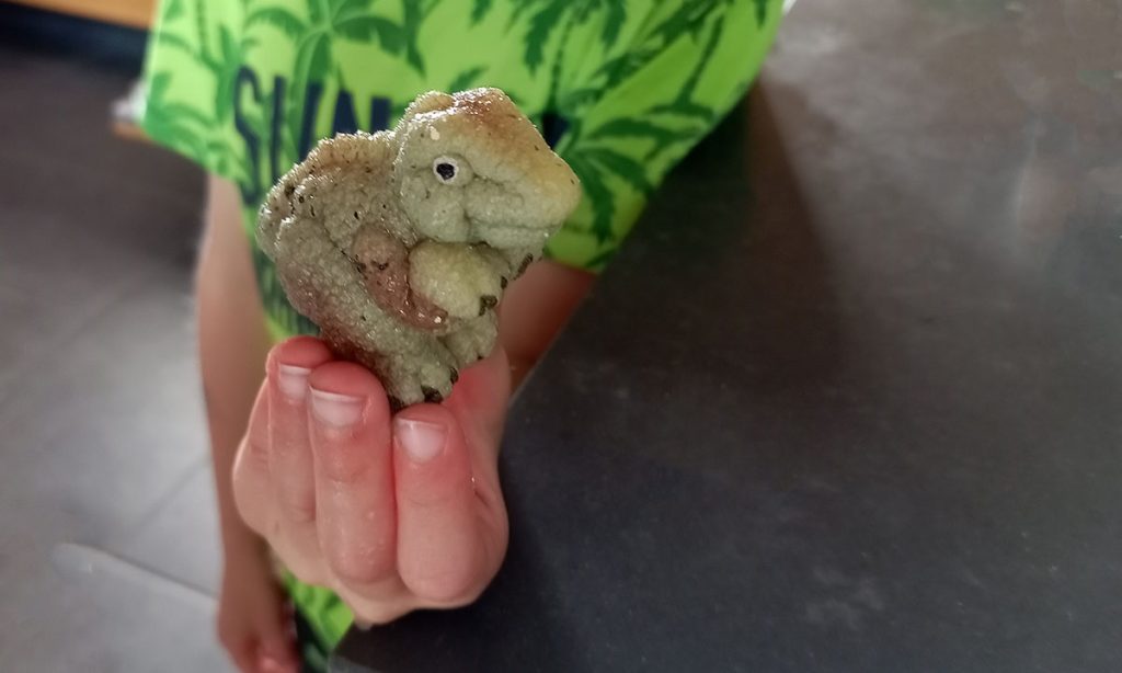 groei ei dino, groei-ei dinosaurus, schoencadeau jongen