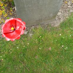 grafdecoratie metalen bloem, bloem van ijzer, grafdecoratie die lang goed blijft, rode bloem graf