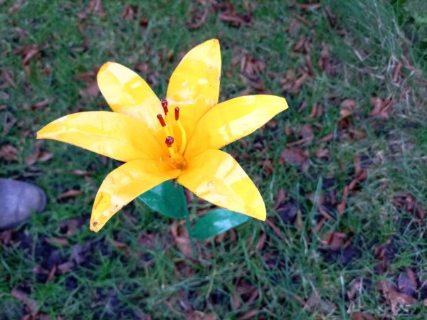 metalen tuinprikker gele bloem, ijzeren tuinsteker gele lelie, lelie van metaal, metalen grafdecoratie