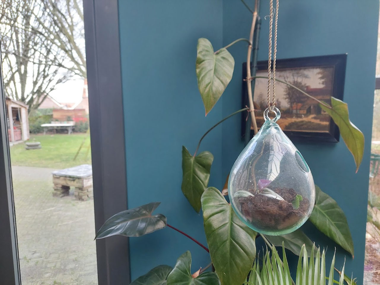 glazen plantenhanger, hangpot glazen bol, druppel glas voor plant, plantenpot van glas, pot voor luchtplanten