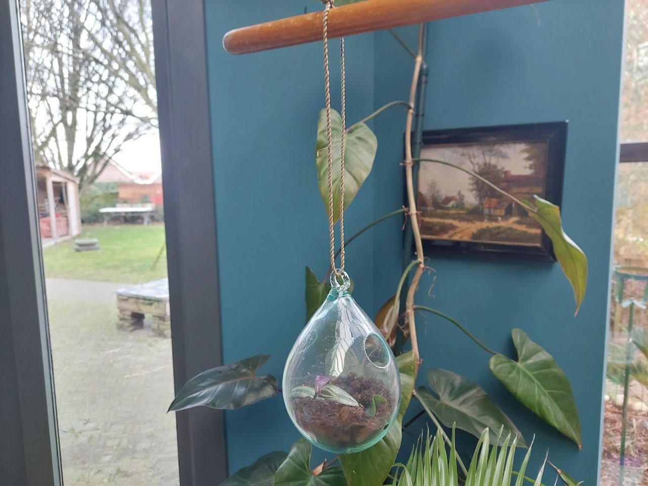 glazen plantenhanger, hangpot glazen bol, druppel glas voor plant, plantenpot van glas, pot voor luchtplanten