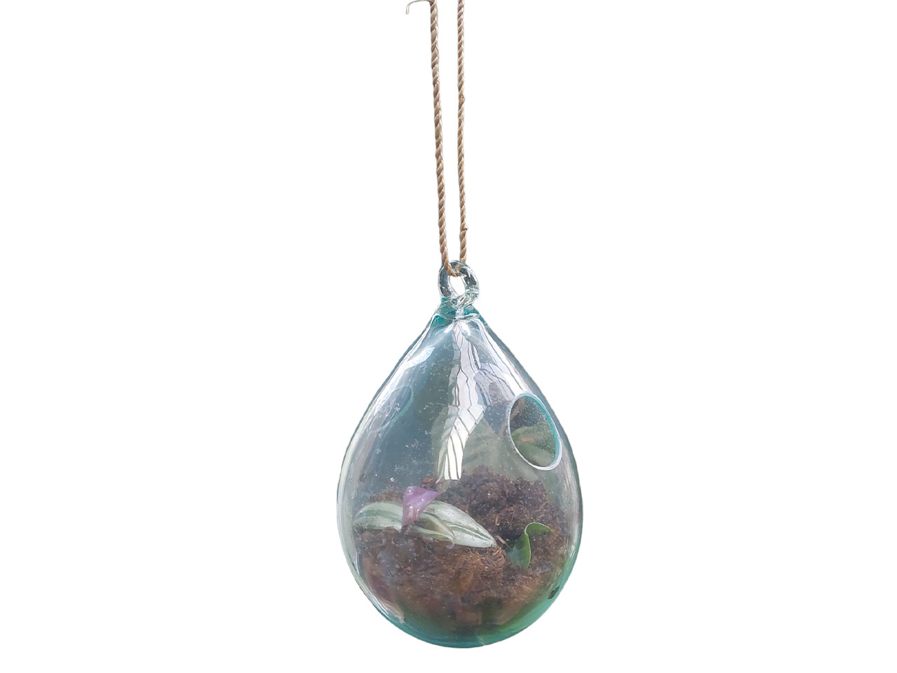 glazen plantenhanger, hangpot glazen bol, druppel glas voor plant, plantenpot van glas, pot voor luchtplanten