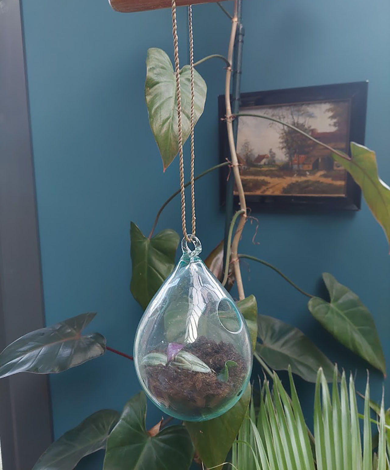 glazen plantenhanger, hangpot glazen bol, druppel glas voor plant, plantenpot van glas, pot voor luchtplanten