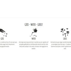 hoe groeit een blossombs zaadbommetje