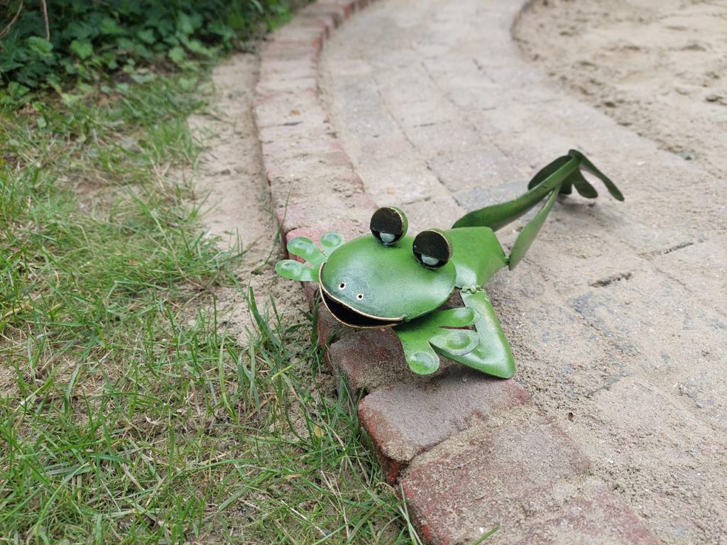 kikker beeld, metalen tuindecoratie kikker, kikker voor in de tuin, cadeau kikker
