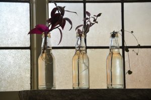 Hoe droog je bloemen in een bloemenpers?, droogmethodes en ideeen om gedroogde bloemen te verwerken