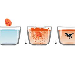 dino speelgoed bruisbal, educatief en creatieve dino cadeau's