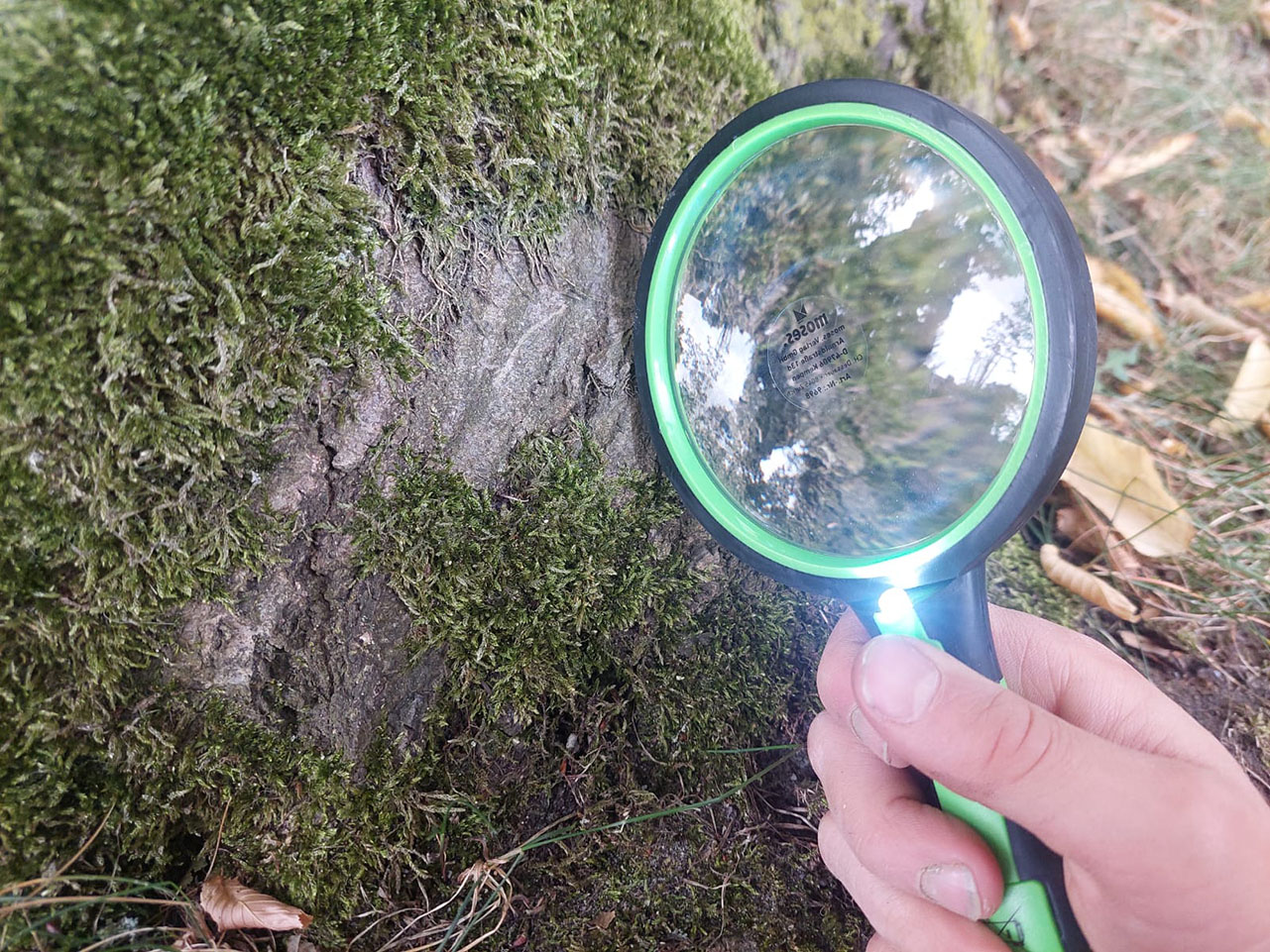 VERGROOTGLAS met verlichting - Afbeelding 4