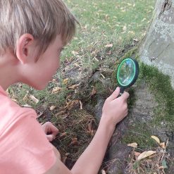 vergrootglas met verlichting, loep met verlichting, vergrootglas kinderen met verlichting, natuurspeelgoed, cadeau voor kinderen dat altijd goed valt
