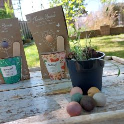 Blossombs bloemen cadeau, bloemen zelf zaaien set, cadeau met bloemen, cadeau voor juf moeder collega vriendin zus enzovoort