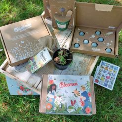 Blossombs giftset, blossombs geluk is een tuintje vol bloemen, cadeau door de brievenbus, bloemzaden mix cadeau, cadeau voor moeder