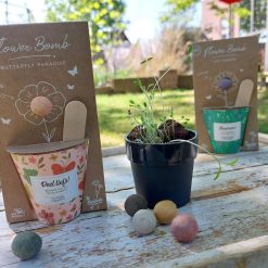 Blossombs bloemen cadeau, bloemen zelf zaaien set, cadeau met bloemen, cadeau voor juf moeder collega vriendin zus enzovoort