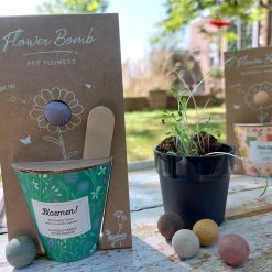 Blossombs bloemen cadeau, bloemen zelf zaaien set, cadeau met bloemen, cadeau voor juf moeder collega vriendin zus enzovoort