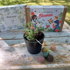 Blossombs giftset, blossombs geluk is een tuintje vol bloemen, cadeau door de brievenbus, bloemzaden mix cadeau, cadeau voor moeder