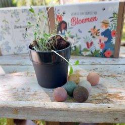 Blossombs vergeet me nietjes, giftset vergeet me nietjes, afscheidscadeau, Ik denk aan je cadeau, brievenbuscadeau