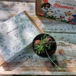 Blossombs vergeet me nietjes, giftset vergeet me nietjes, afscheidscadeau, Ik denk aan je cadeau, brievenbuscadeau