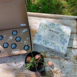 Blossombs vergeet me nietjes, giftset vergeet me nietjes, afscheidscadeau, Ik denk aan je cadeau, brievenbuscadeau