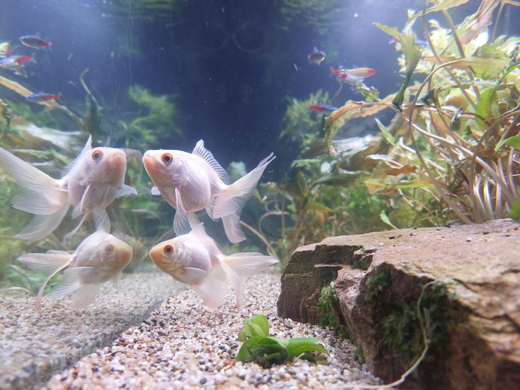 Persoonlijk blog met ervaring over tweedehands kopen en duurzame levensstijl