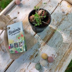 cadeautje voor hem en haar, jute zakje met bloembommetjes, blossombs flower bombs, cadeautje juf