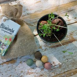 cadeautje voor hem en haar, jute zakje met bloembommetjes, blossombs flower bombs, cadeautje juf