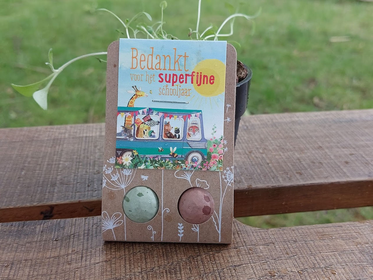 bedankje einde schooljaar, bedankt juf of meester, blossombs zaadbommetje juf of meester