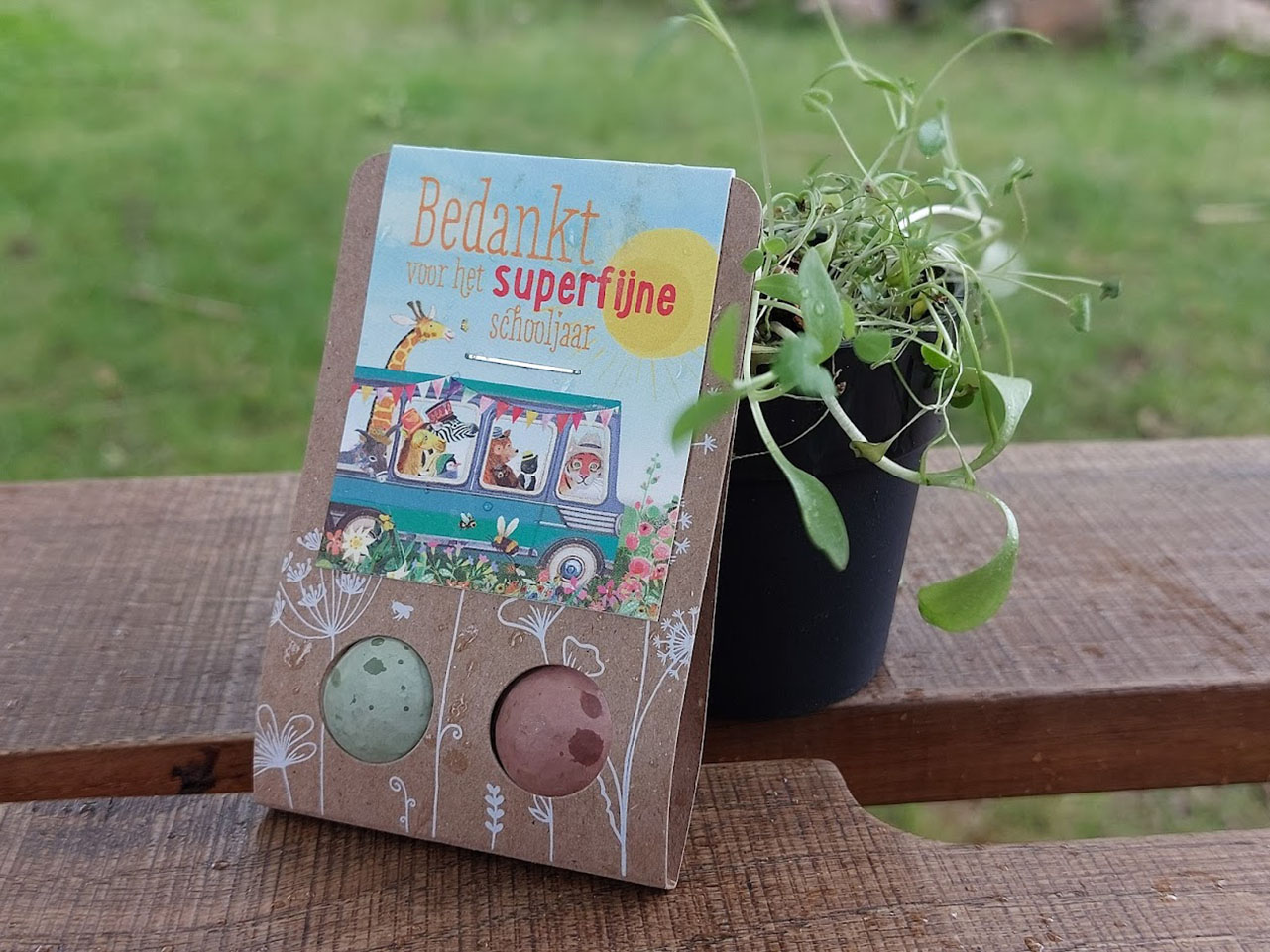 bedankje einde schooljaar, bedankt juf of meester, blossombs zaadbommetje juf of meester