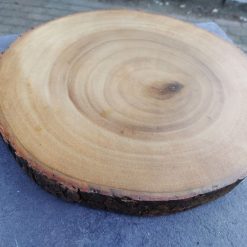 boomschijf houten ronde onderzetter met schors aan de rand