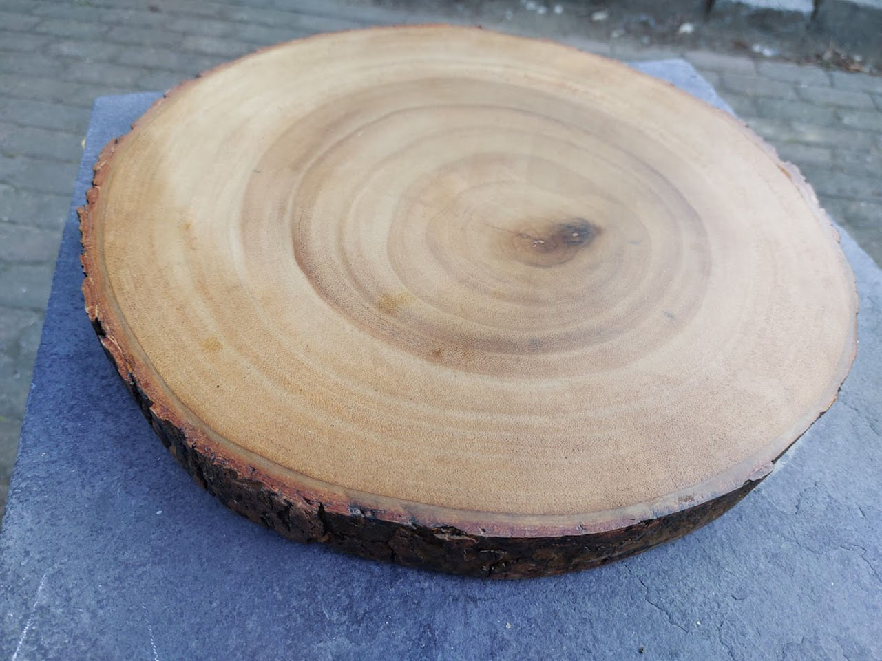 boomschijf houten ronde onderzetter met schors aan de rand