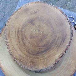 boomschijf houten ronde onderzetter met schors aan de rand