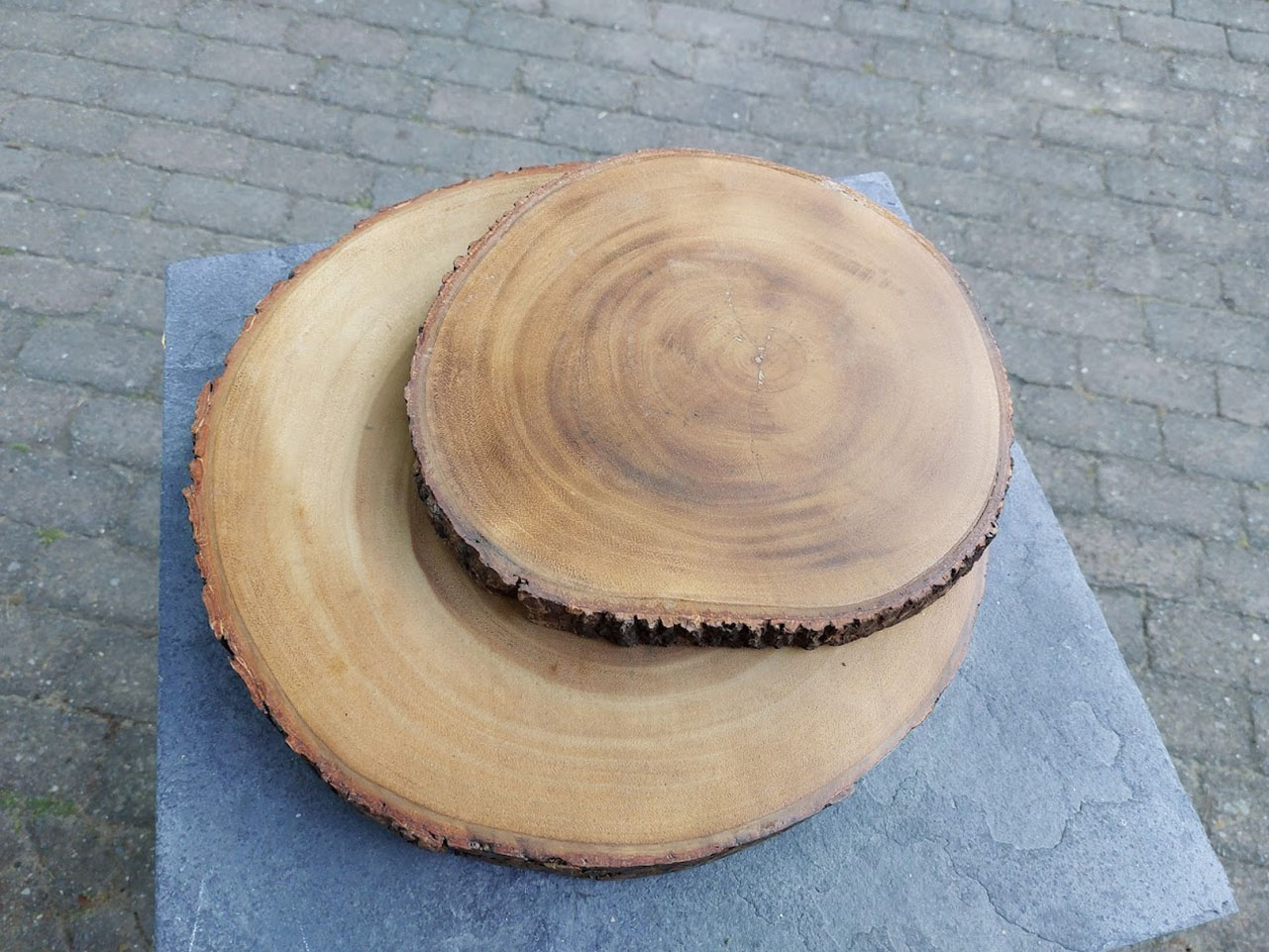 boomschijf houten ronde onderzetter met schors aan de rand