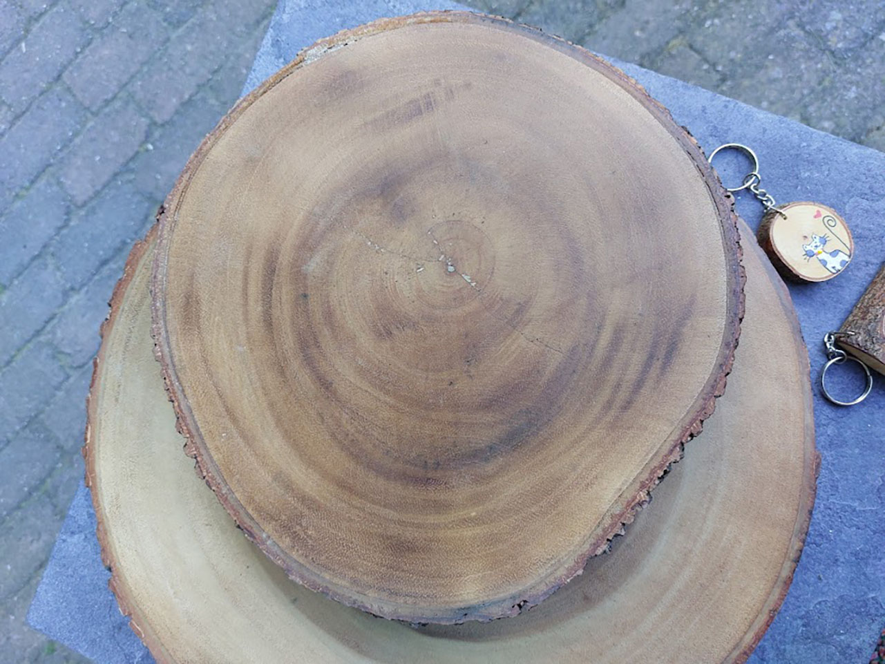 boomschijf houten ronde onderzetter met schors aan de rand