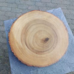boomschijf houten ronde onderzetter met schors aan de rand