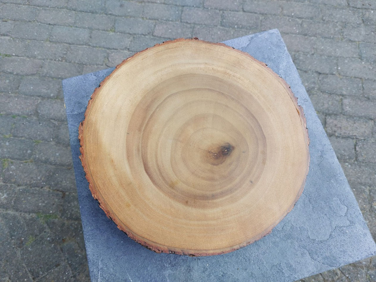 boomschijf houten ronde onderzetter met schors aan de rand